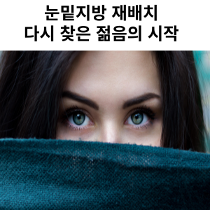 눈밑지방 재배치