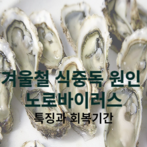 노로바이러스 특징과 회복기간 