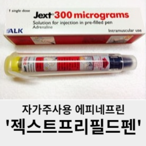 자가주사용 에피네프린 젝스트프리필드펜
