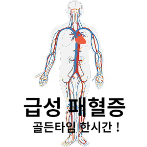 급성 패혈증 골든타임 한시간