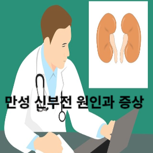 만성 신부전 원인과 증상 