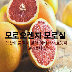 모로오렌지 모로실 항산화물질이 많아 여러가지 효능이 많다는데..