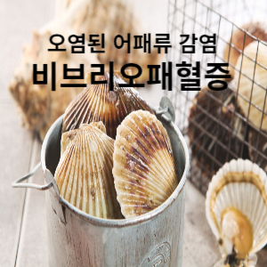 오염된 어패류 감염 비브리오패혈증