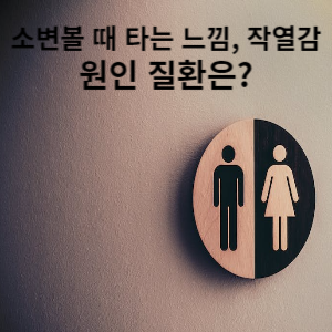 소변볼 때 타는 느낌, 작열감 원인 질환은?