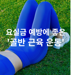 요실금 예방에 좋은 골반근육운동 