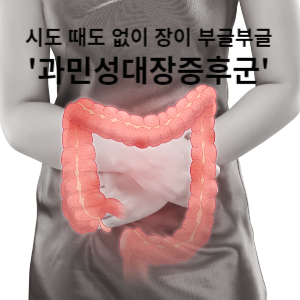 시도 때도 없이 장이 부글부글 과민성대장증후군
