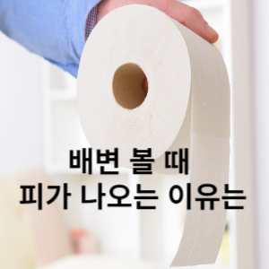 배변 볼 때 피가 나오는 이유는