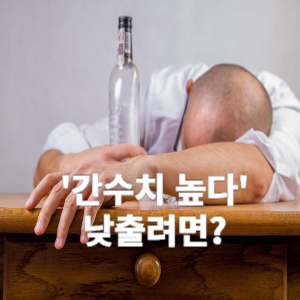 간수치 높다 낮출려면?
