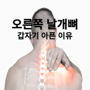 오른쪽 날개뼈 갑자기 아픈 이유