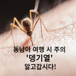 동남아 여행시 주의 뎅기열 알고갑시다