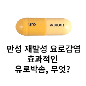만성 재발성 요로감염 효과적인 유로박솜, 무엇? 