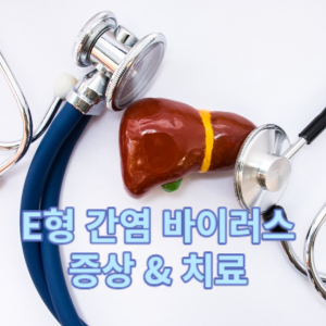 E형 간염 바이러스 증상 & 치료
