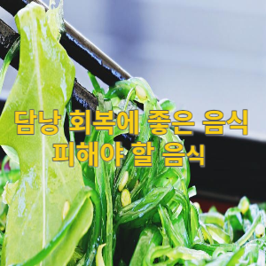담낭 회복에 좋은 음식 피해야 할 음식