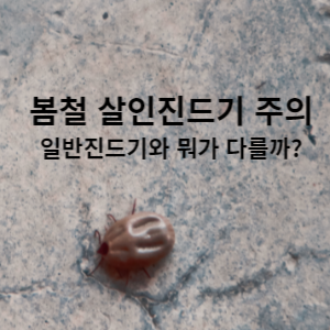 봄철 살인진드기 주의 일반진드기와 뭐가 다를까?