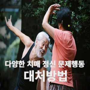 다양한 치매 정신 문제행동 대처방법