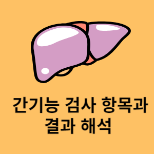 간기능 검사 항목과 결과 해석
