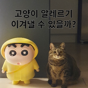 고양이 알레르기 이겨낼 수 있을까?