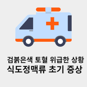 검붉은색 토혈 위급한 상황 식도정맥류 초기 증상 