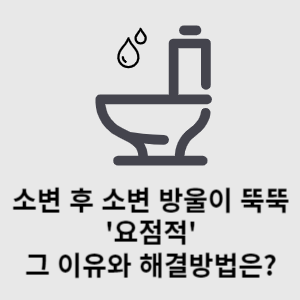 소변 후 소변 방울이 뚝뚝
요점적 그 이유와 해결방법은