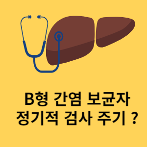 B형 간염 보균자 정기적 검사 주기? 