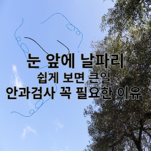 눈 앞에 날파리 쉽게보면 큰일 안과검사 꼭 필요한 이유 
