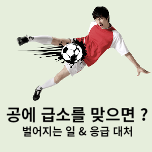 공에 급소를 맞으면? 벌어지는 일 & 응급 대처