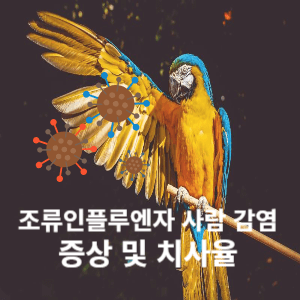 조류인플루엔자 사람 감염 증상 및 치사율