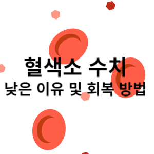 혈색소 수치 낮은 이유 및 회복 방법 