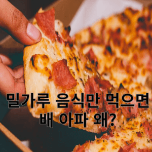 밀가루 음식만 먹으면 배 아파 왜?
