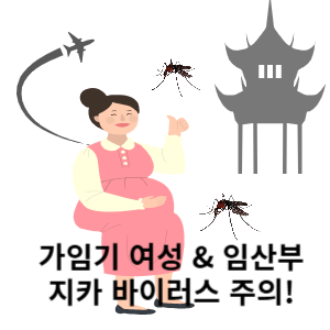 가임기 & 임산부 지카 바이러스 주의 